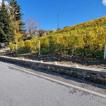 Apartmán Ca Ed Giuanoto Santo Stefano Belbo Exteriér fotografie